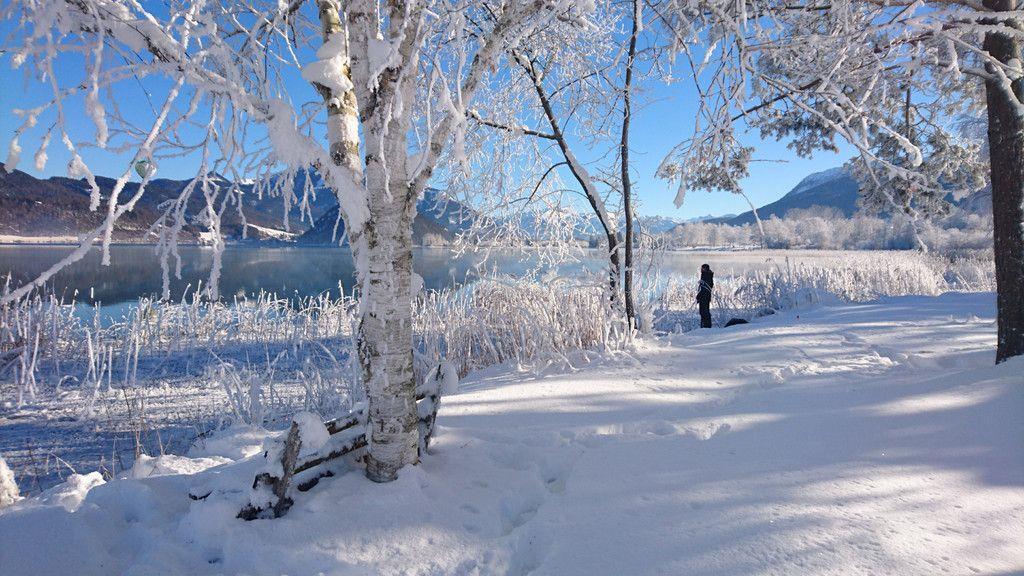 Eure schönsten Winterbilder II