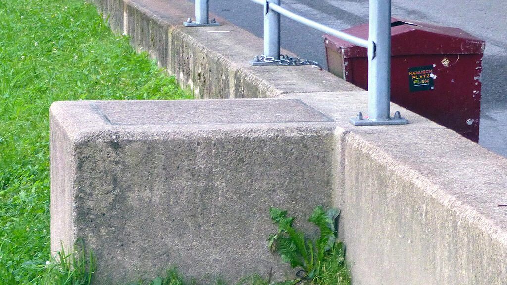 Obwohl Mülleimer in der Nähe stehen, landet der Abfall auf der Böschung.
