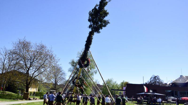 Maibaumaufstellen in Grödig