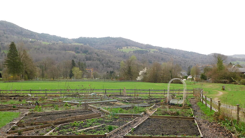 Gartengemeinschaft Paradieschen
