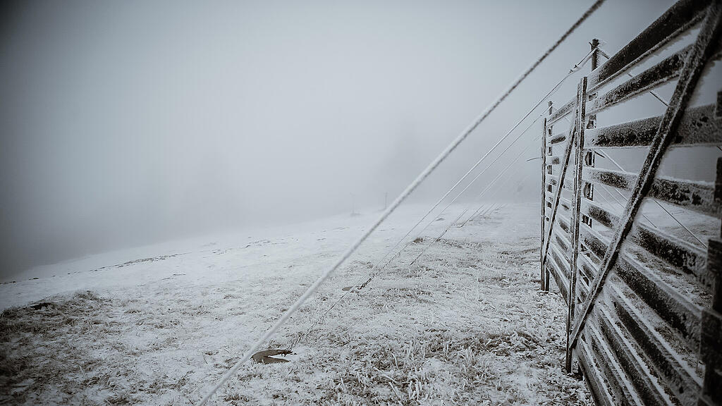 Schnee am Gaisberg