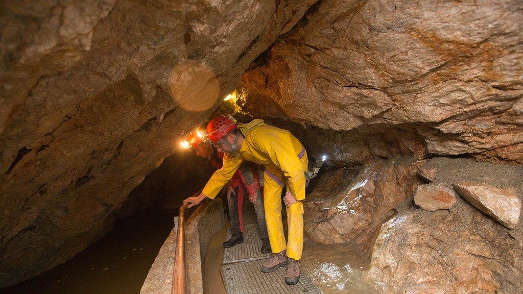 Bergung aus Lamprechtshöhle