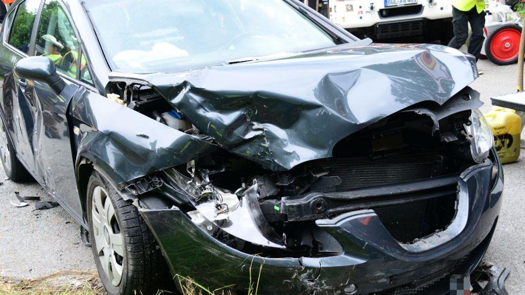 Pinzgauerinnen in Bayern verletzt, I
