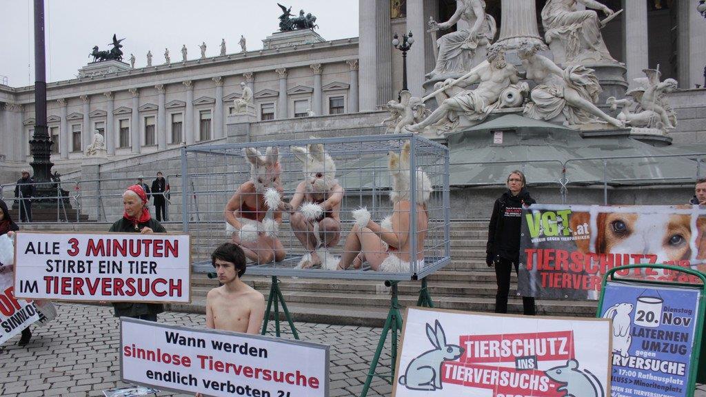 Tierschützerinnen protestieren nackt vor Parlament (Käfige)