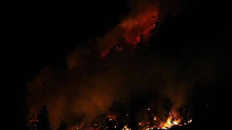 Waldbrand am Thumsee