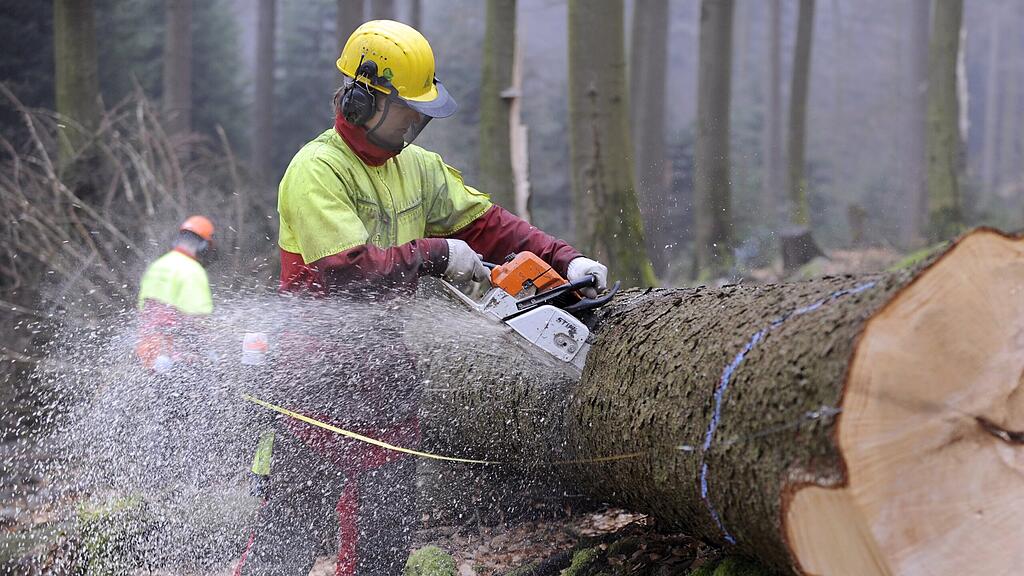 Der Waldarbeiter wollte mit einer Seilwinde die Baumstämme aus dem Wald ziehen (Symbolbild).