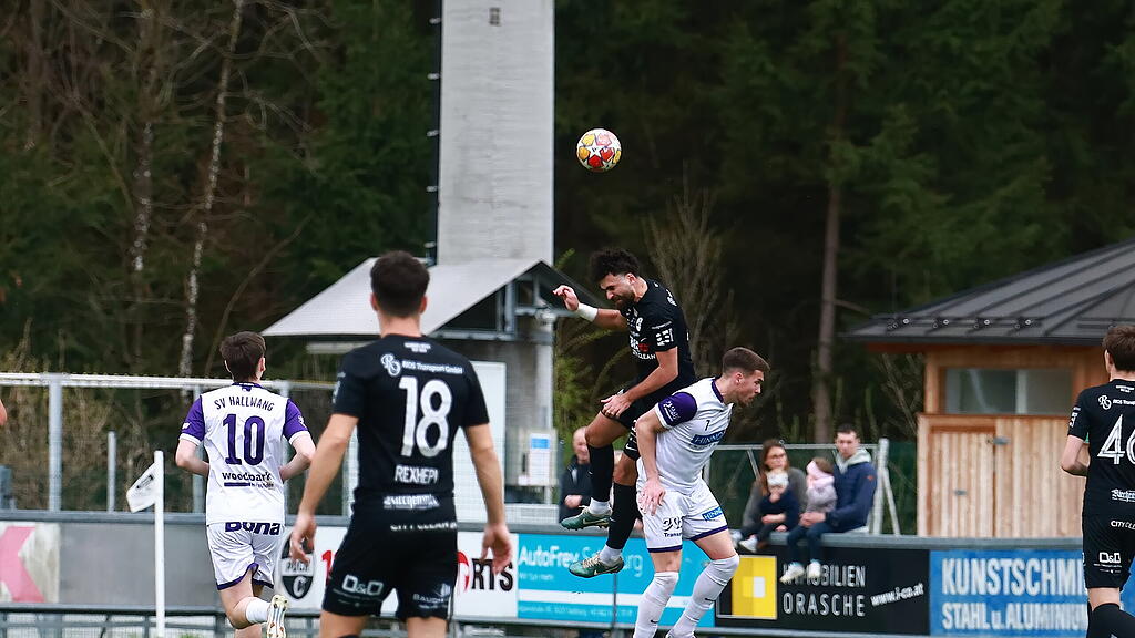 Salzburger Liga, Puch, Hallwang
