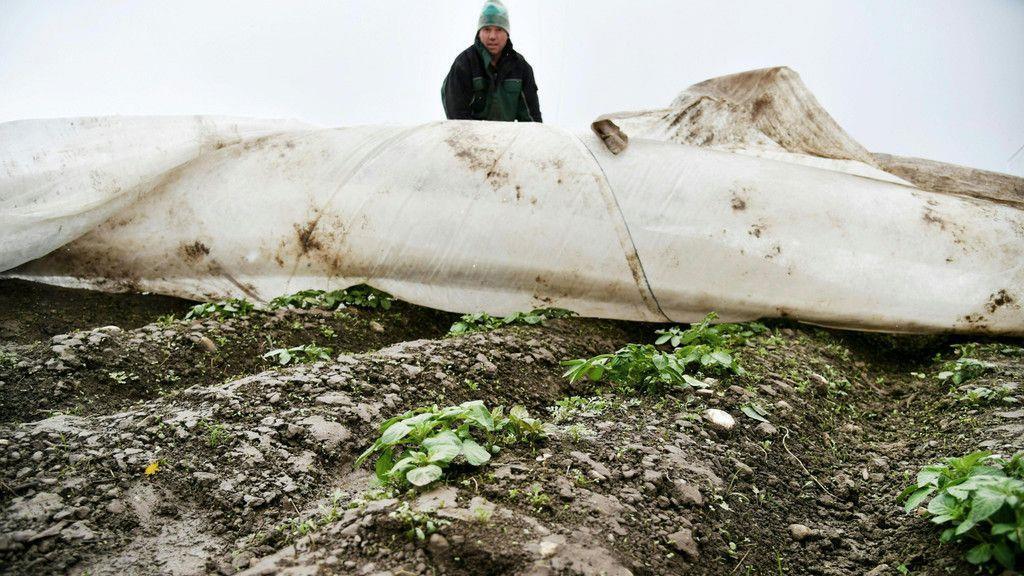 Kampf gegen Frost in Wals