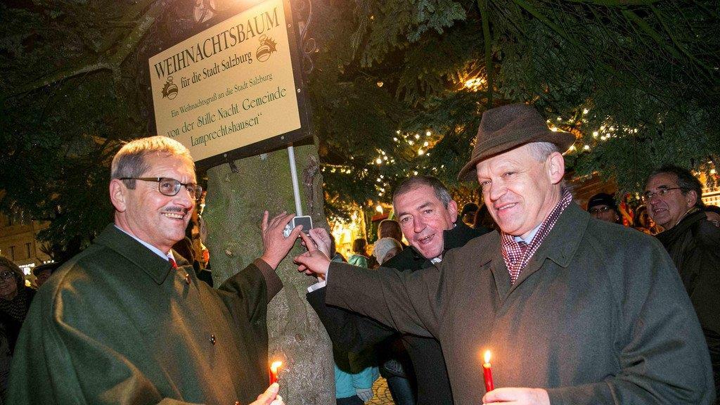 Christbaum vor Schloss Mirabell