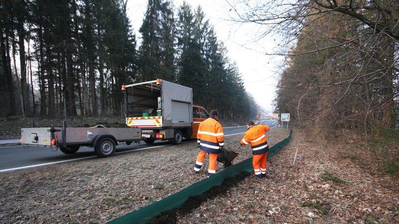 Froschklauber im Einsatz