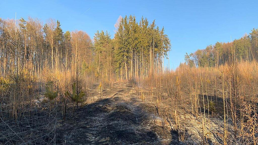 Waldbrand_Krottendorf