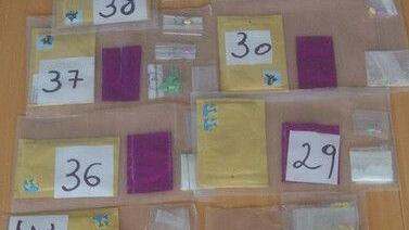 Darknet-Drogenpärchen in Ried ausgehoben