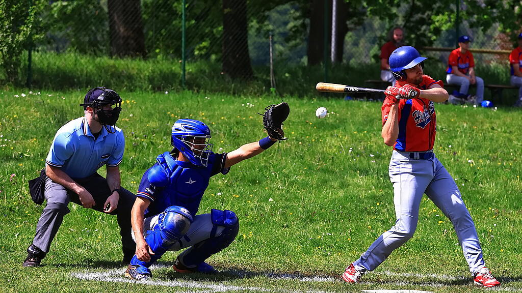 Braves Baseball Hallein_TVG Highlanders