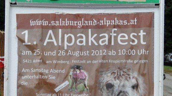 Alpaka-Fest in Adnet