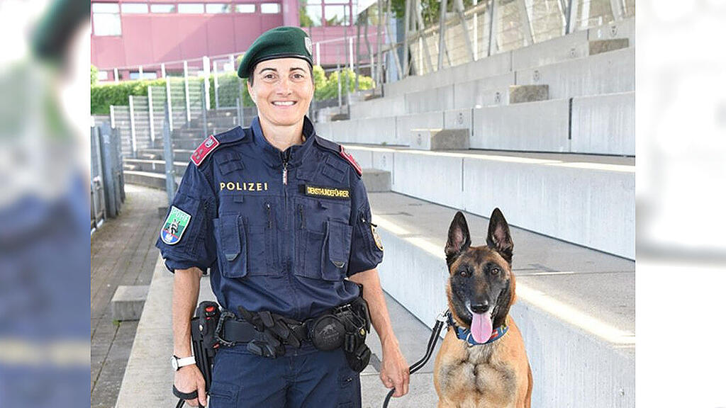 Polizeihündin