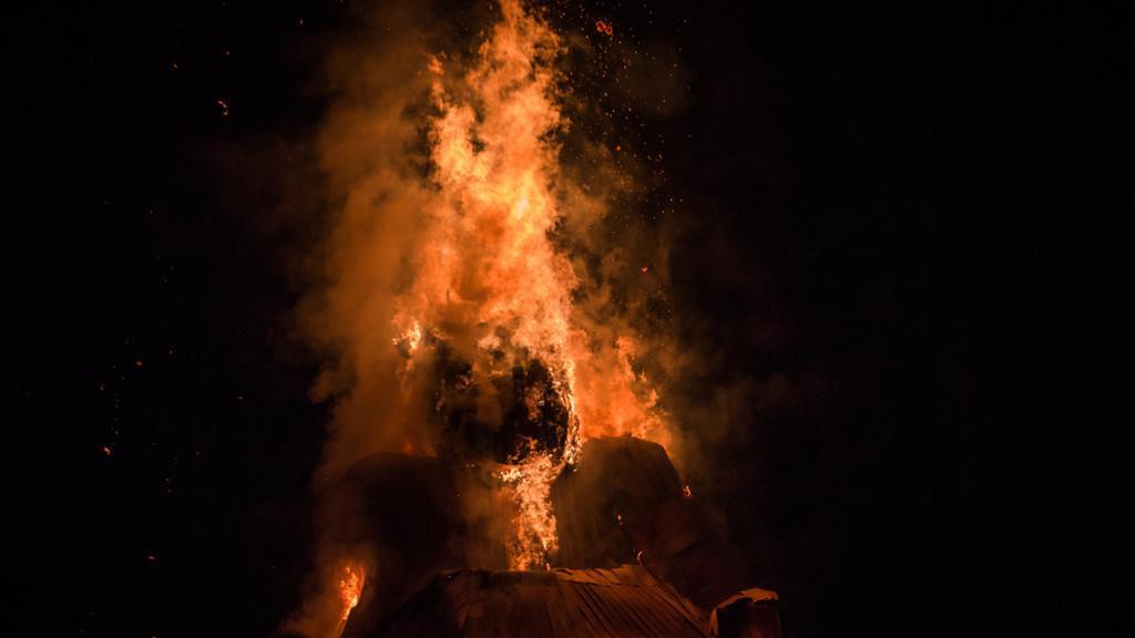 Burning Animal I