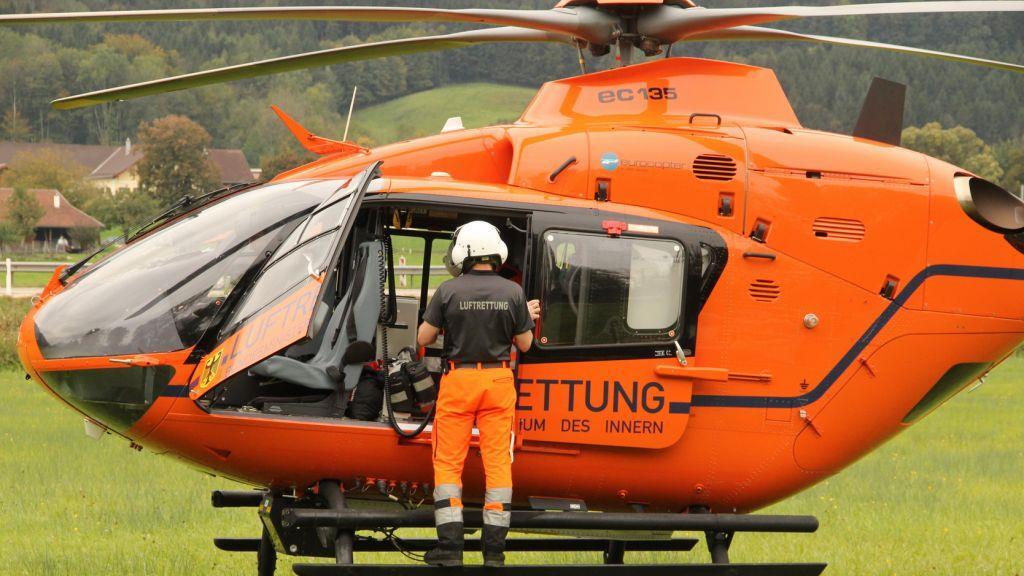 Radfahrer kollidiert mit Hund