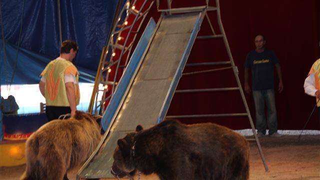 Bilder aus dem Circus Luna