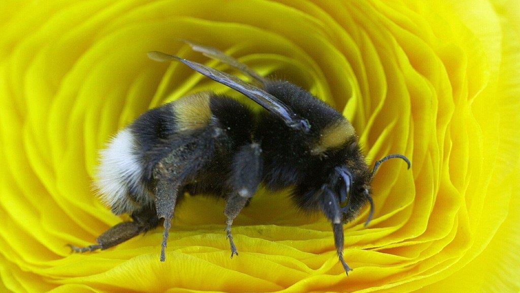 Die Tierbilder der Woche