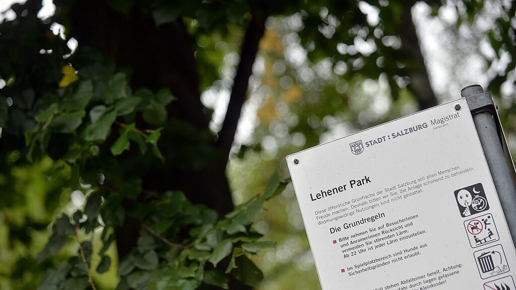 Der Lehener Park soll neu belebt werden.