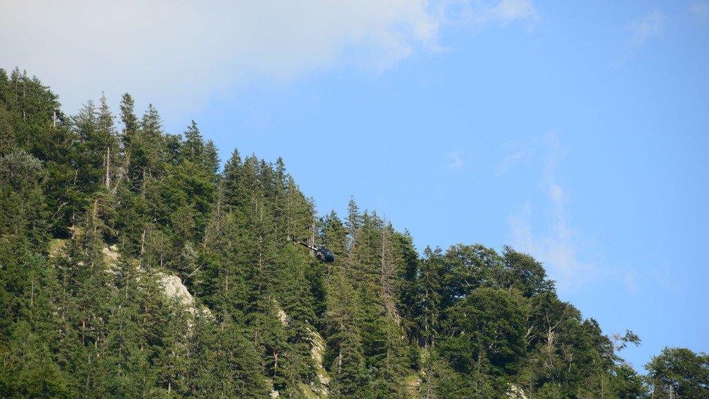 Paragleiter bleibt in Baum hängen