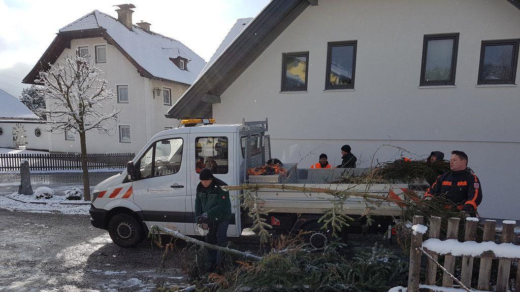 Baumfällen Mariapfarr