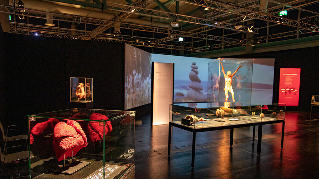 Ausstellung Körperwelten Salzburg I
