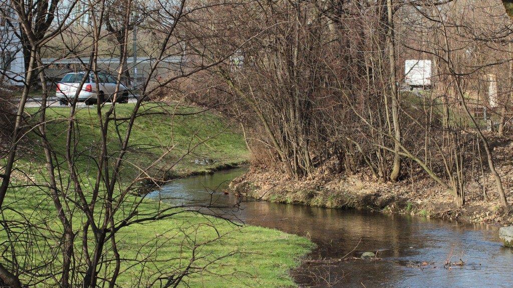 Frühlingsboten in München