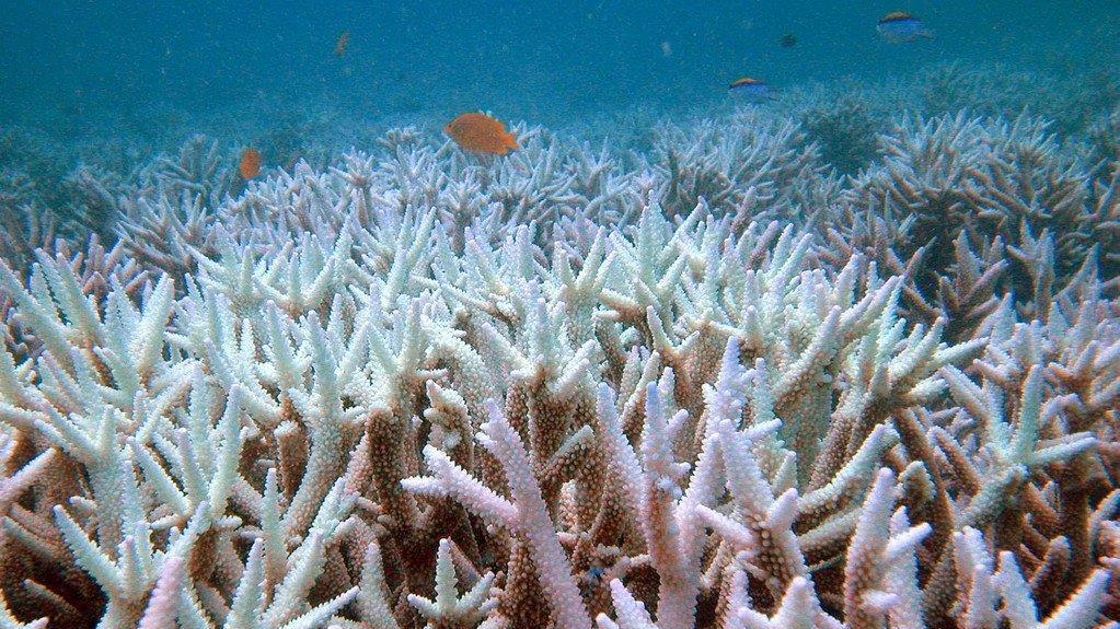 Great Barrier Reef
