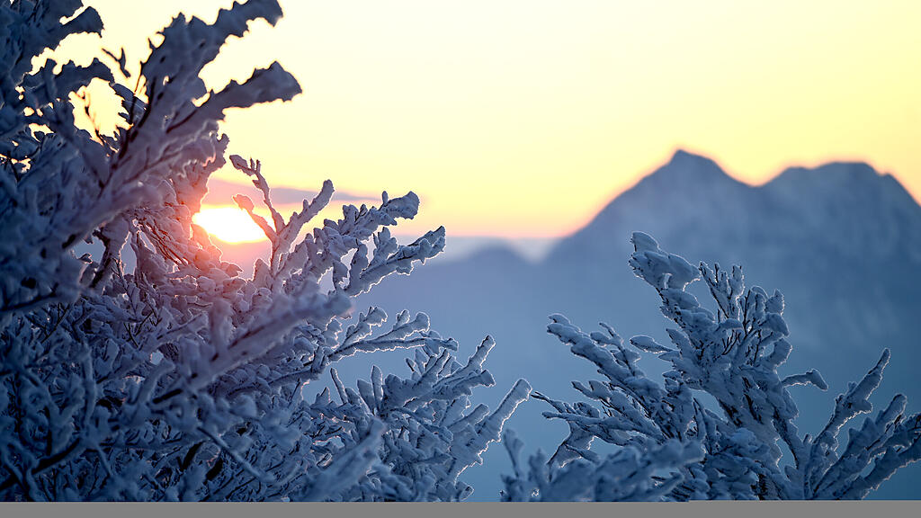 symb_schnee symb_kälte symb_frost symb_winter