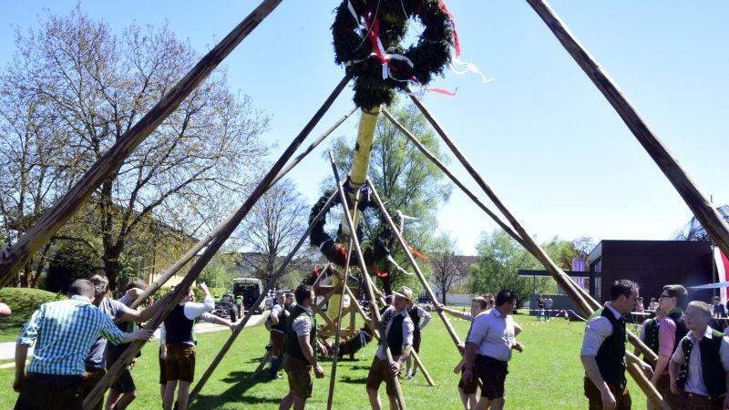 Maibaumaufstellen in Grödig