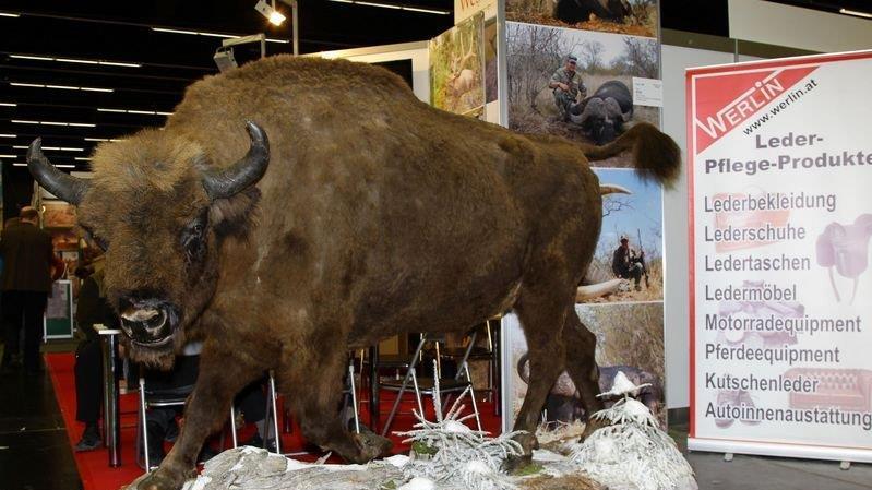 Die Jagdmesse ist eröffnet