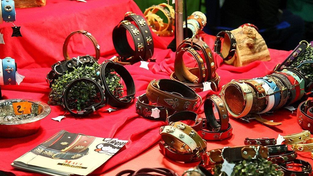 Festival der Hunde im Messezentrum Salzburg