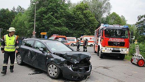 Pinzgauerinnen in Bayern verletzt, II