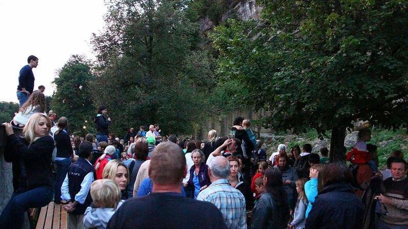 Nachtzoo in Salzburg