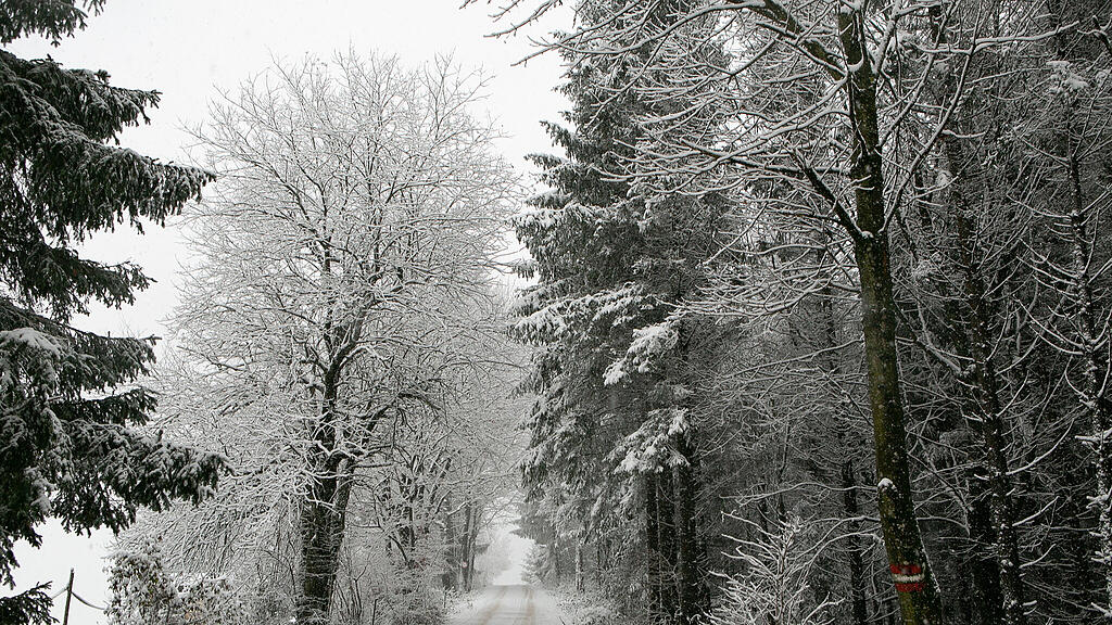 Schnee am Haunsberg