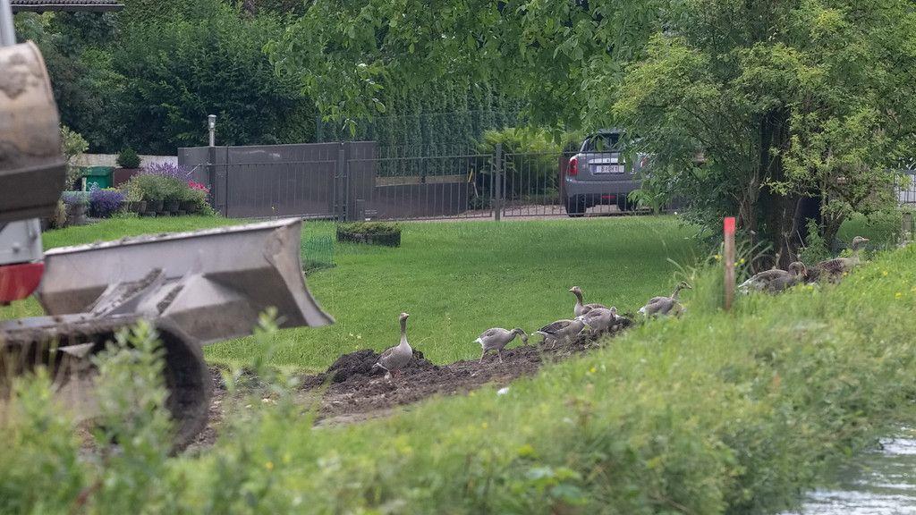 Baustelle am Almkanal