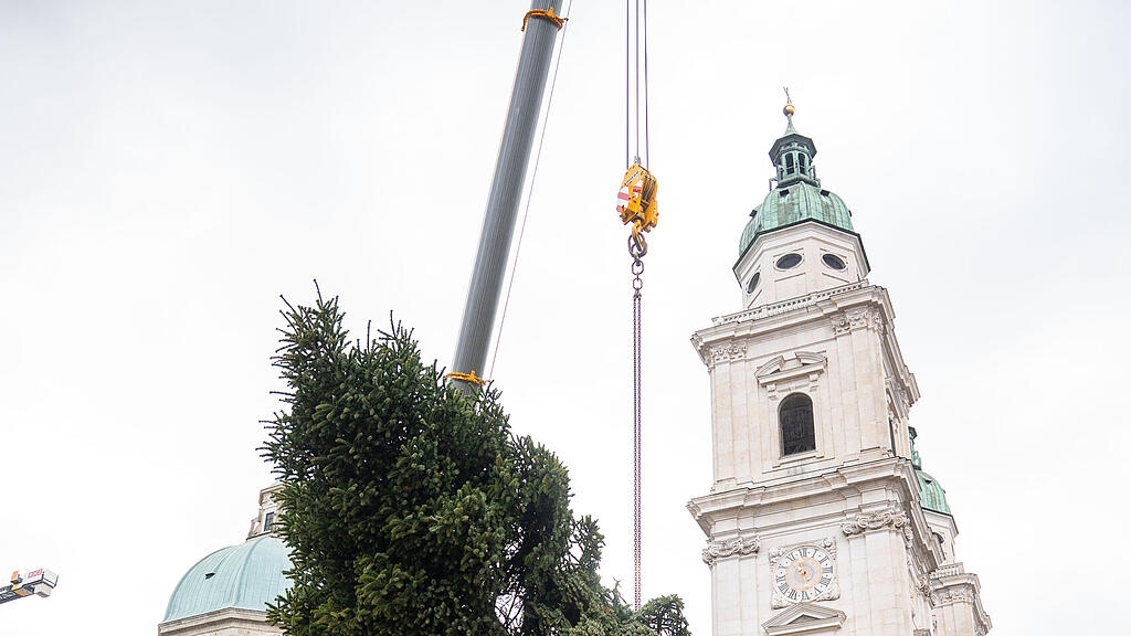 Baum am Christkindlmarkt eingetroffen