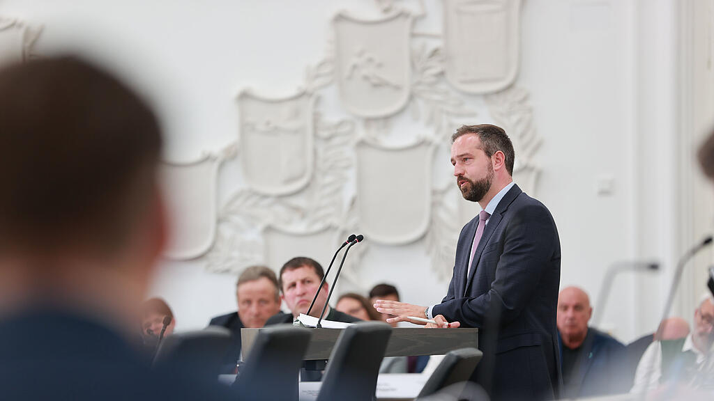 schnöll hearing salzburger landesregierung