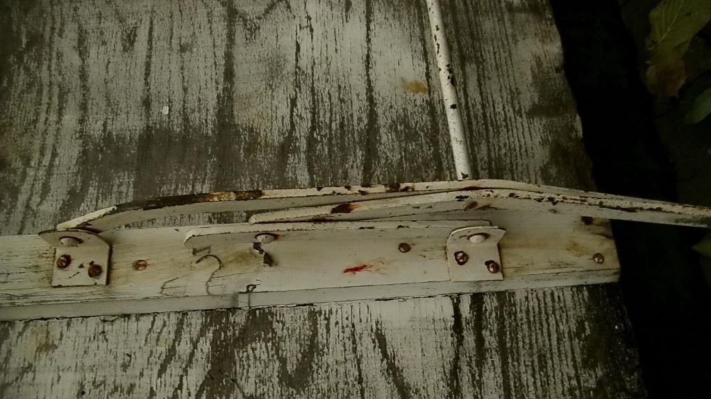 Bilder von Fridolin