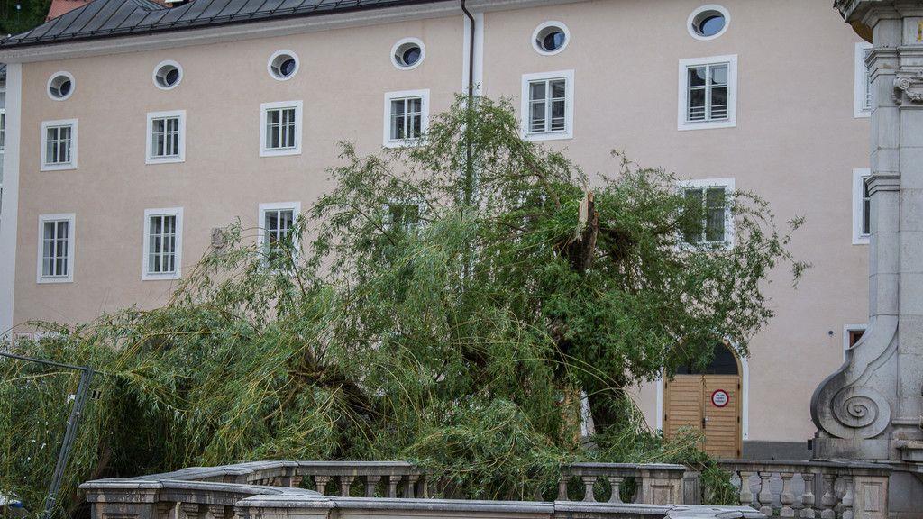 Sturm knickt Baum bei Kapitelschwemme