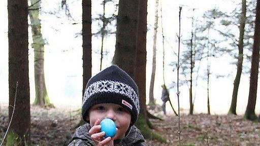 Eiersuchen im Laschenskywald