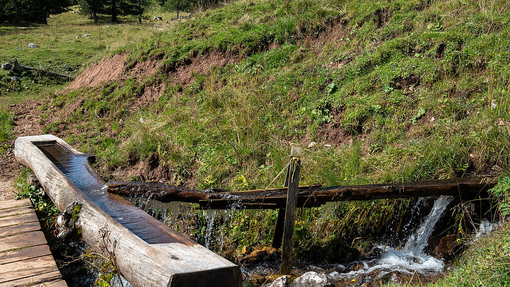 Wasser-Trog