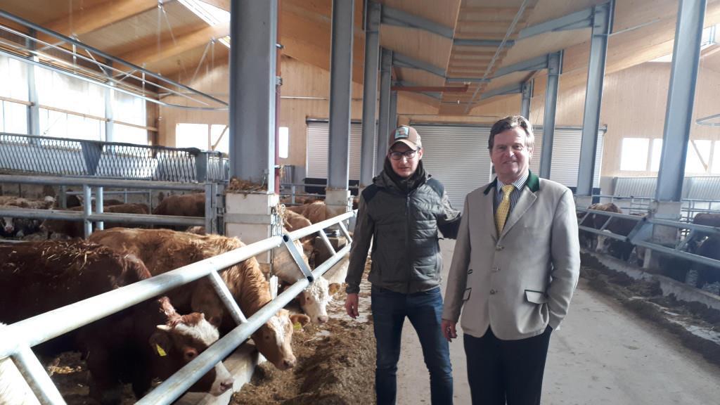 Friesachers neuer Stall in Anif