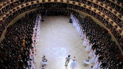 Opernball 2013: Debütanten