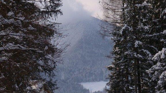 Winteridylle in Ebenau