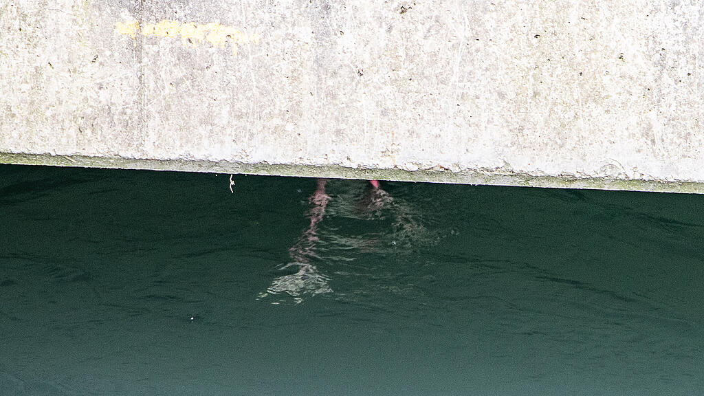 Flamingo, Almkanal