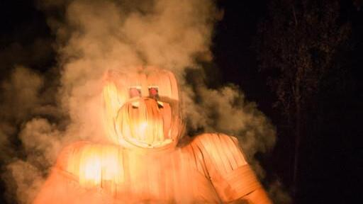 Burning Animal I