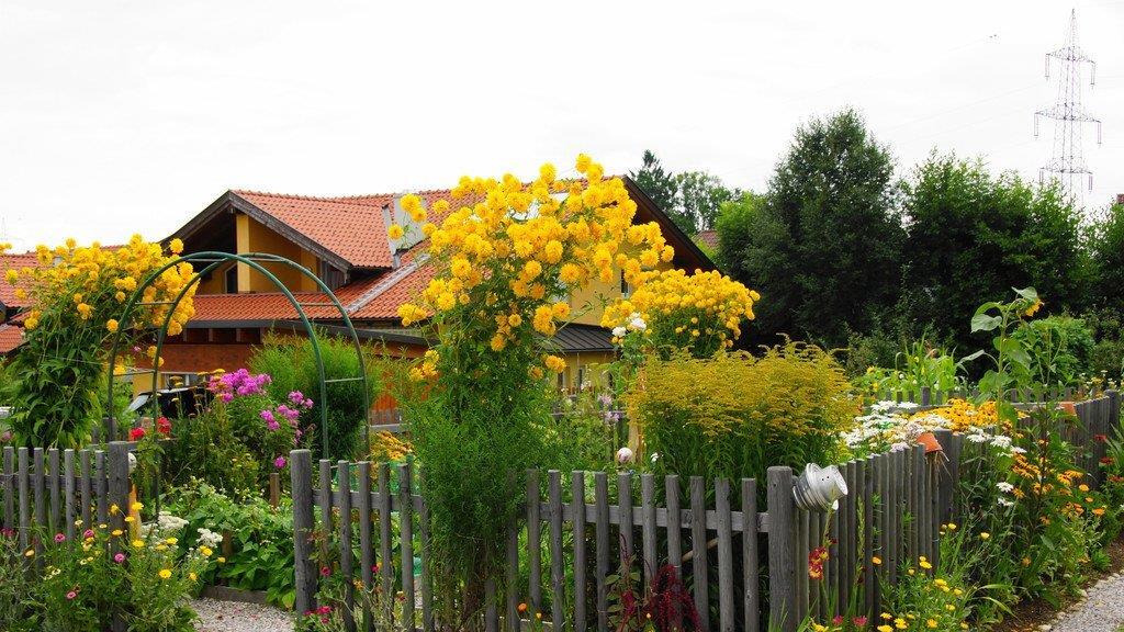 Spätsommer-Impressionen 1