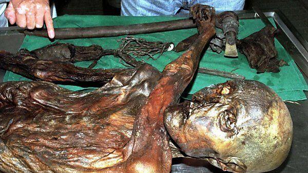 Ötzis letzte Mahlzeit war Steinbockfleisch